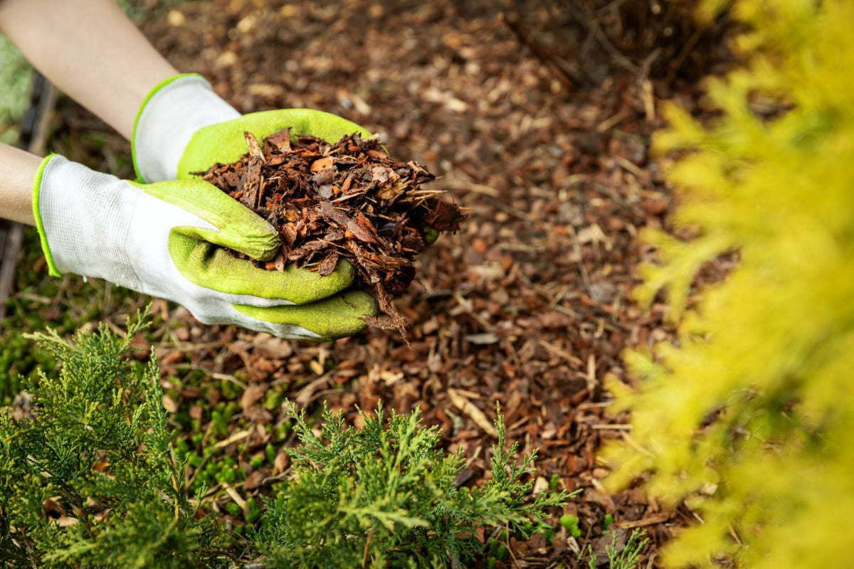 Peat Moss, Mulch Delivery, Bulk Mulch