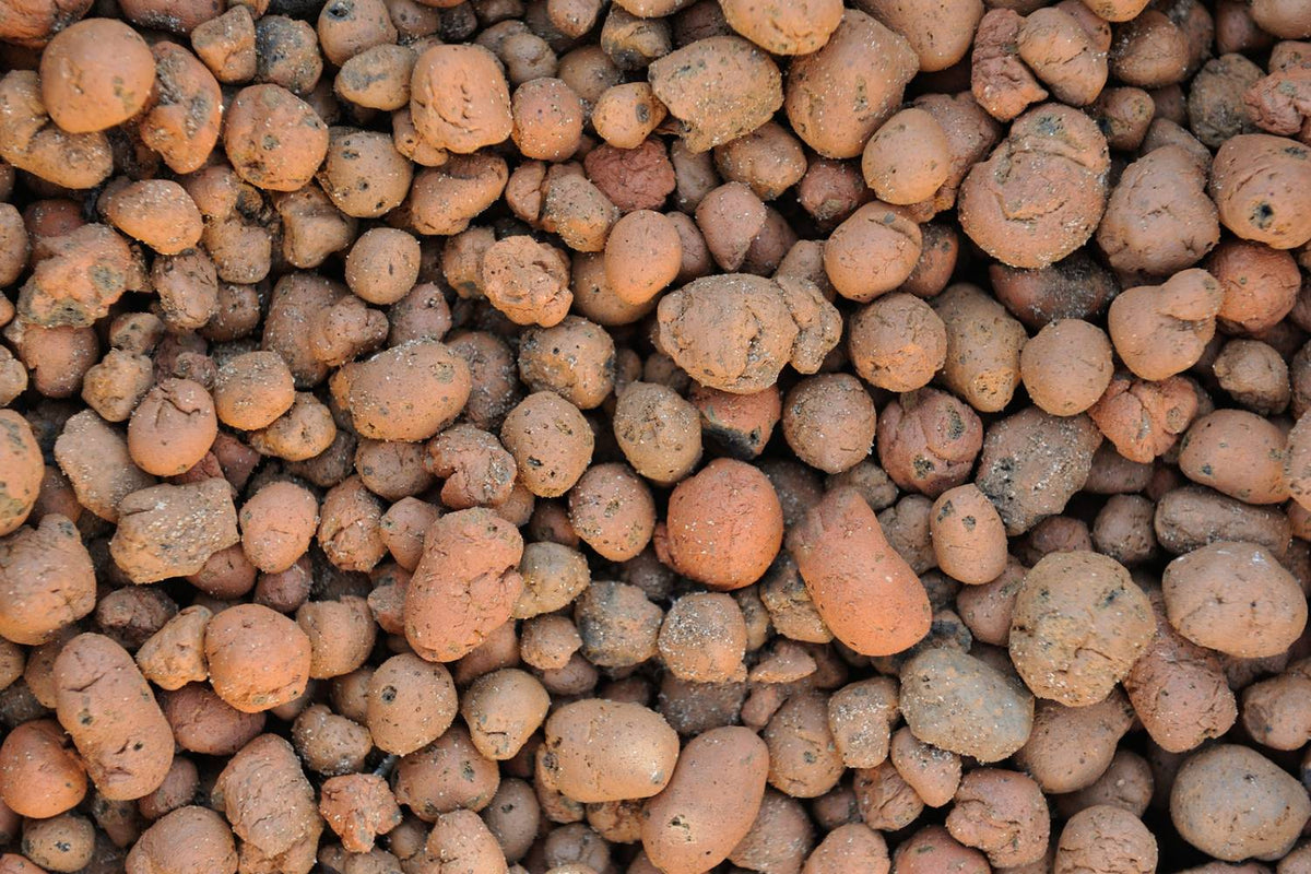 Quality Hydroponic Medium: Discover Clay Pebbles for Indoor Gardening