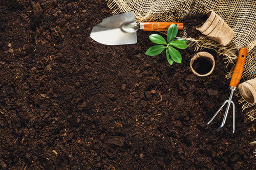 Best Soil for Herbs: Everything You Need to Know