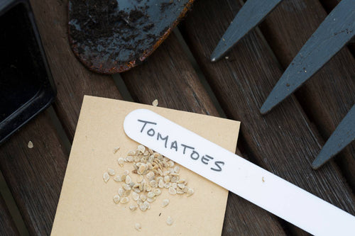 How Long Does it Take Tomato Seeds to Germinate?