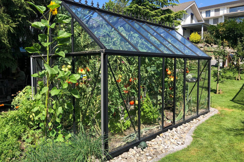 How to Keep Greenhouse Warm At Night