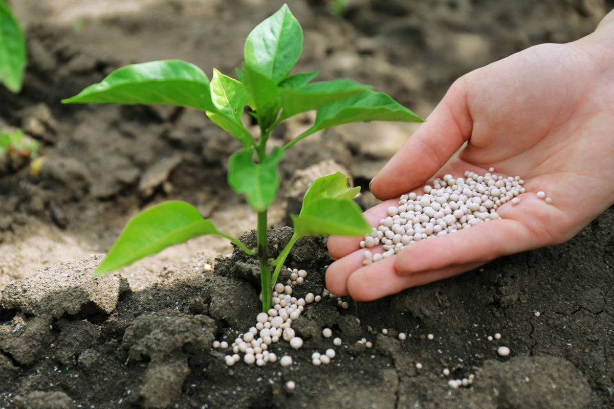 organic magnesium fertilizer