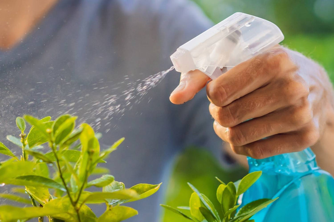 Insecticidal Soap vs. Neem Oil: Which Works Better?