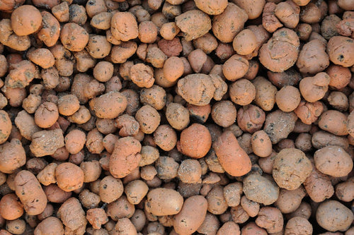 Clay Pellets for Hydroponics: How to Use Them Effectively