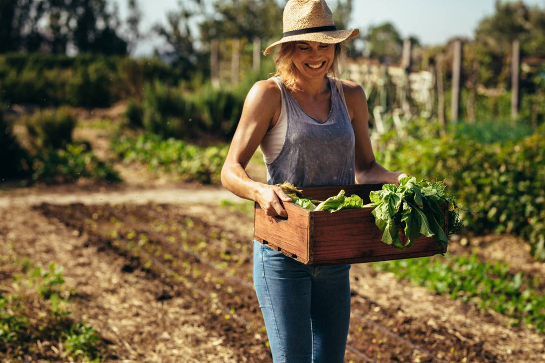 Preparing Your Vegetable Garden For Spring