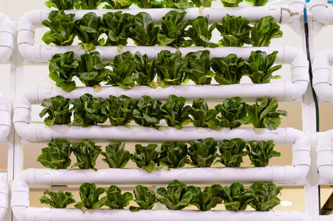 Best Vertical Grow Hydroponics Systems