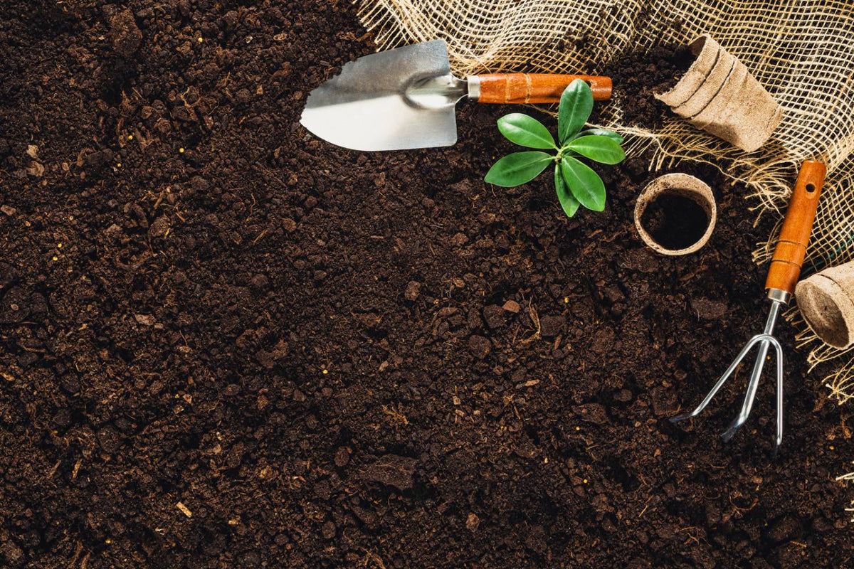 Best Soil For Herbs: Everything You Need To Know – Humboldts Secret ...