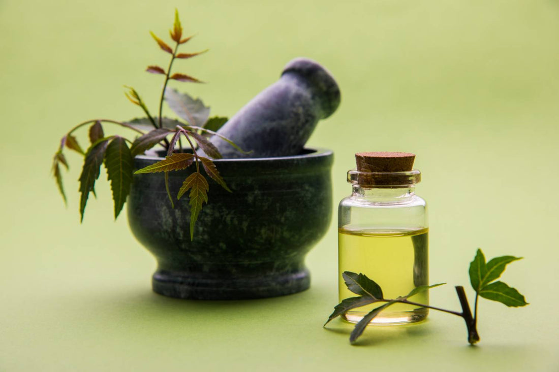 Neem Oil for Killing Spider Mites: Does it Work?