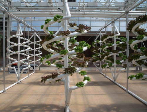 How to Make The Best Hydroponic Setups [2022]