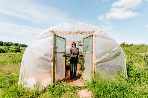 What is a Polytunnel? All About This Type of Greenhouse