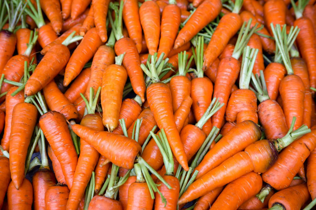 How to Grow Carrots in Hydroponics