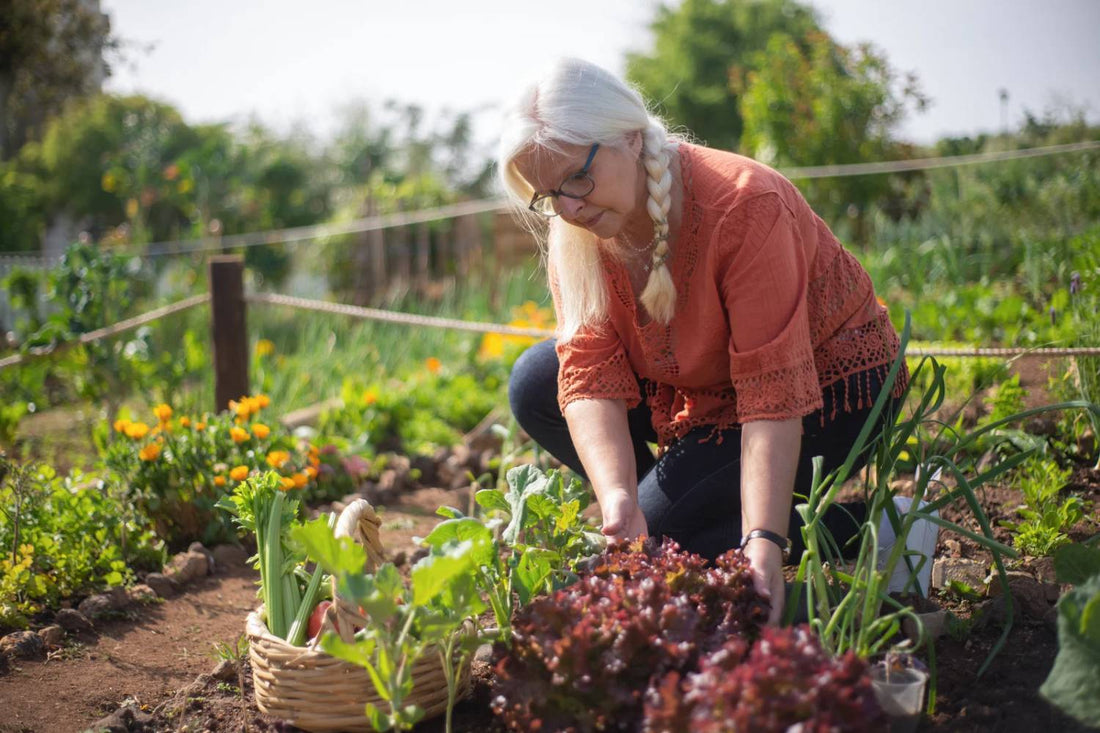 Best Insecticide for Vegetable Garden