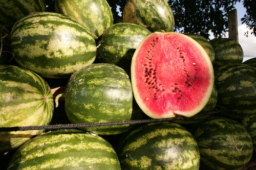 Planting Watermelon Seeds: Complete Guide