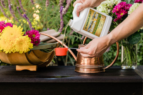 How to Mix CalMag and Iron Correctly: A Guide for Healthier Plants