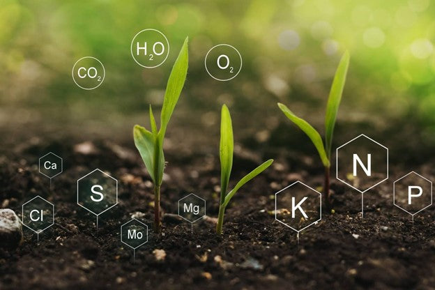 Vitamins for Plants 