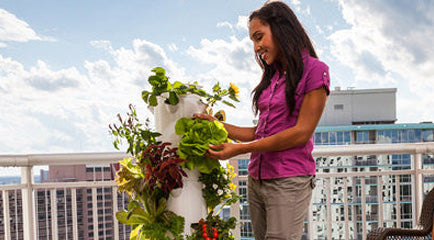 What are Hydroponic Towers?