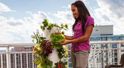 Hydroponic Tower 