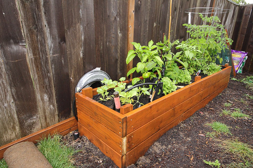 The 7 Most Practical Raised Garden Bed Plans