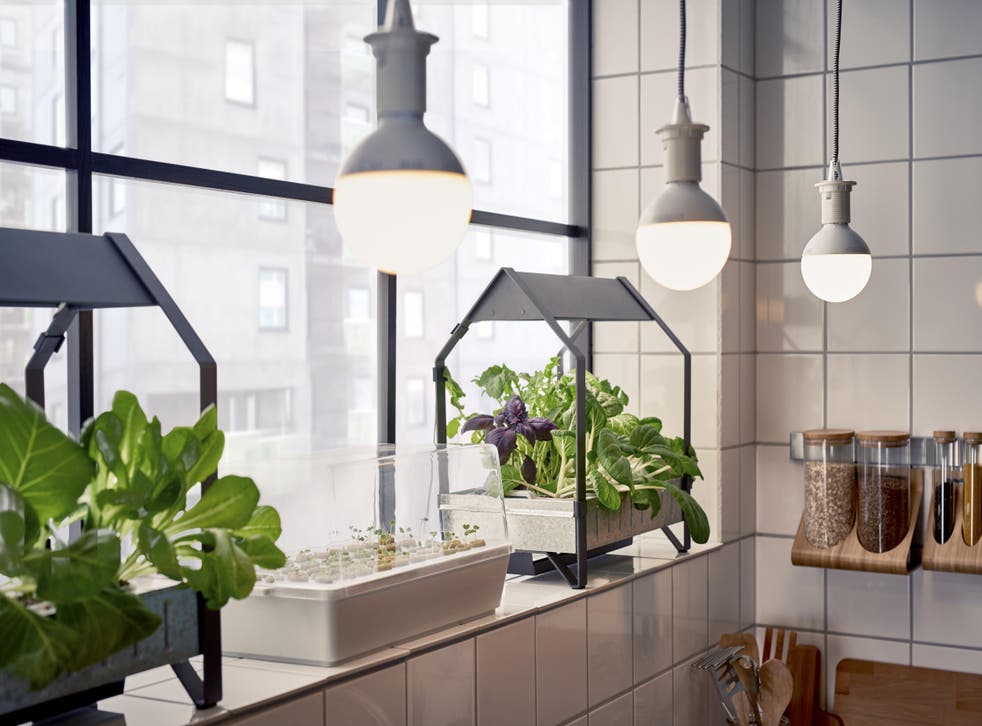 Garden Hydroponically to Conserve Water 