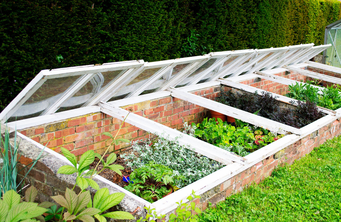 October Gardening 