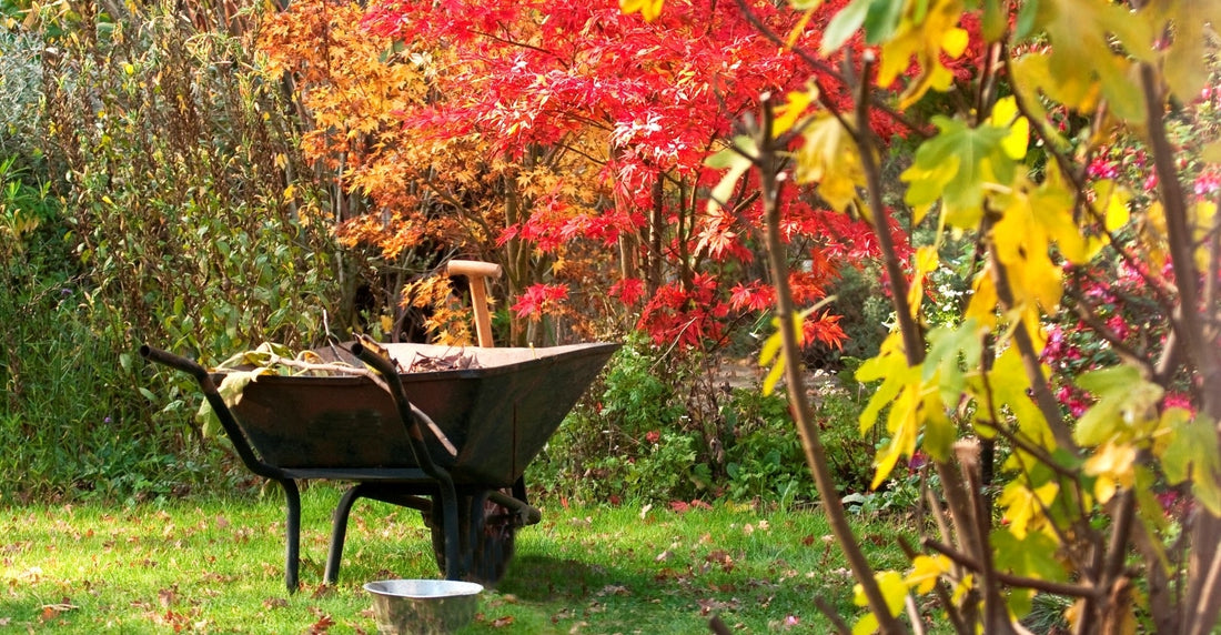 Fall Garden Planting Guide 