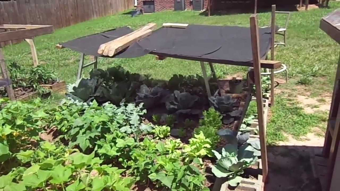 Shading Garden Plants 