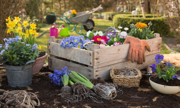 August Garden Chores 
