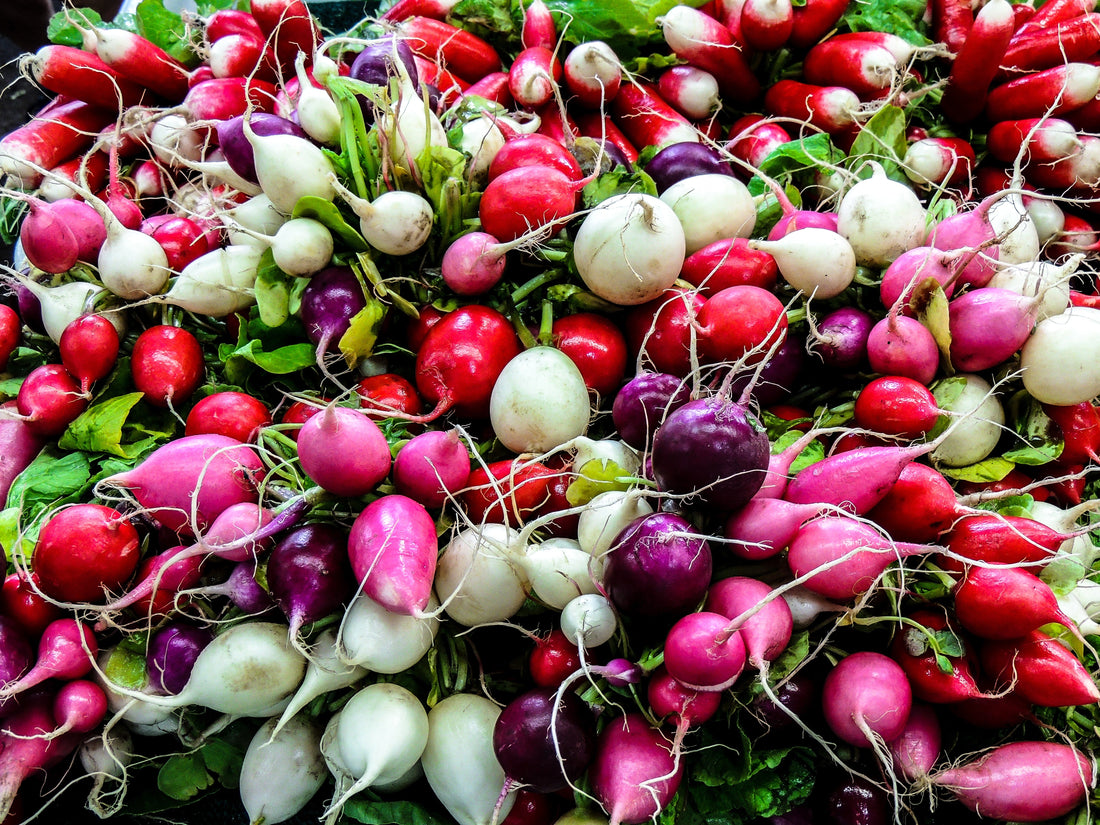 Radishes are great to grow hydroponically indoors. 