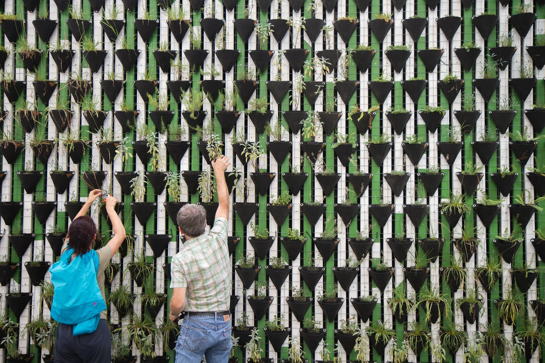 Benefits of Vertical Gardening 