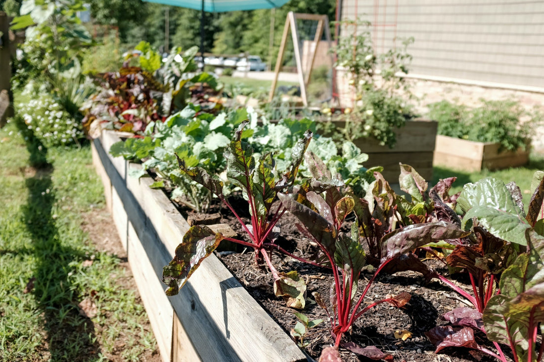 Micro-Farming 