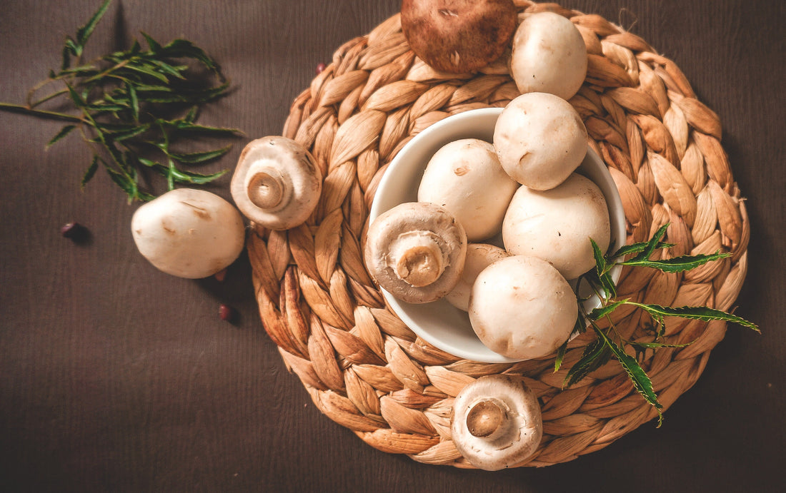 Growing mushrooms 