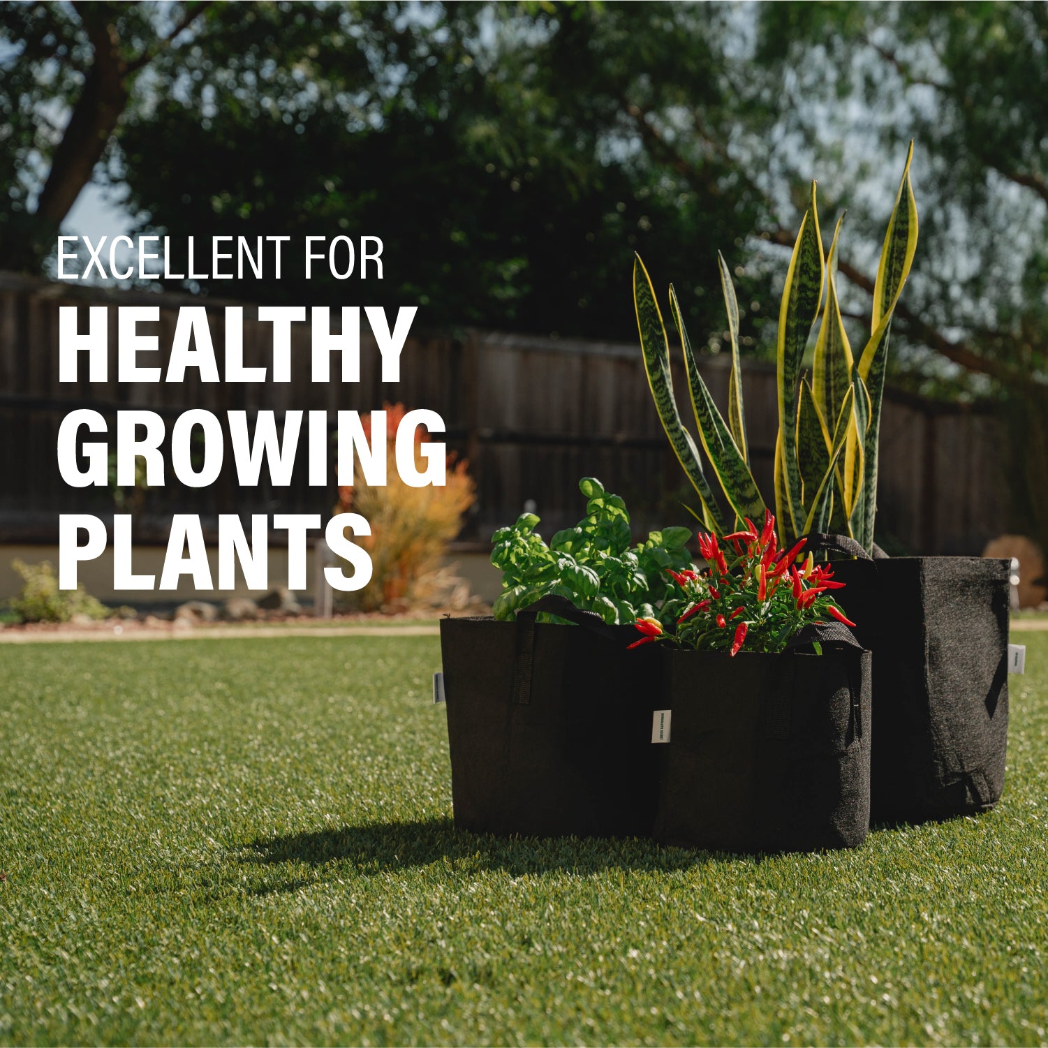 cloth grow bags for plants Fabric Grow Bags – Humboldts Secret Supplies