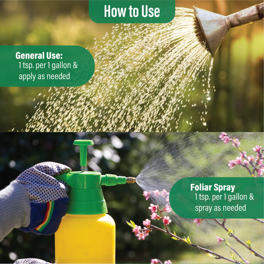 Monopotassium Phosphate (MKP)