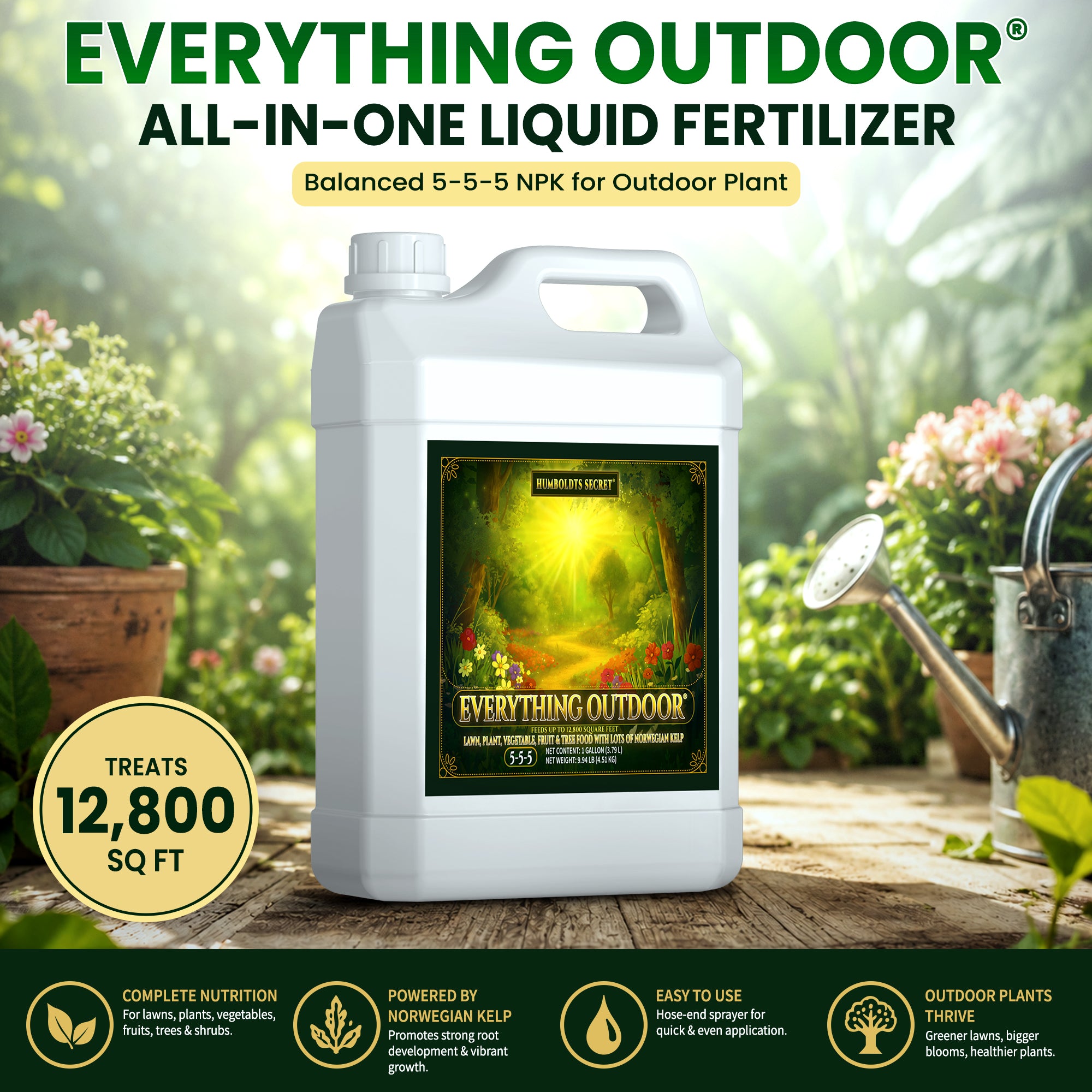 Everything Outdoor