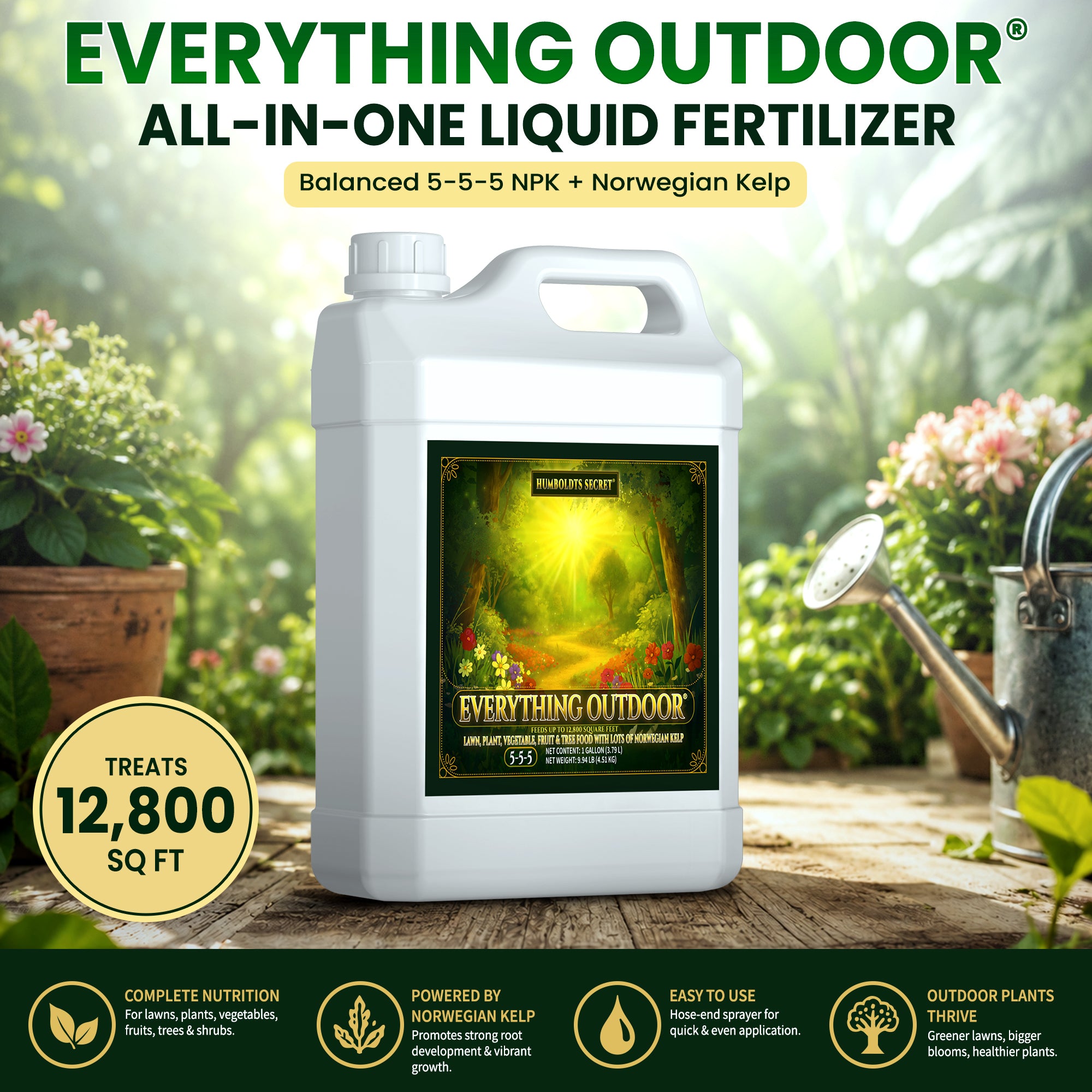 Everything Outdoor