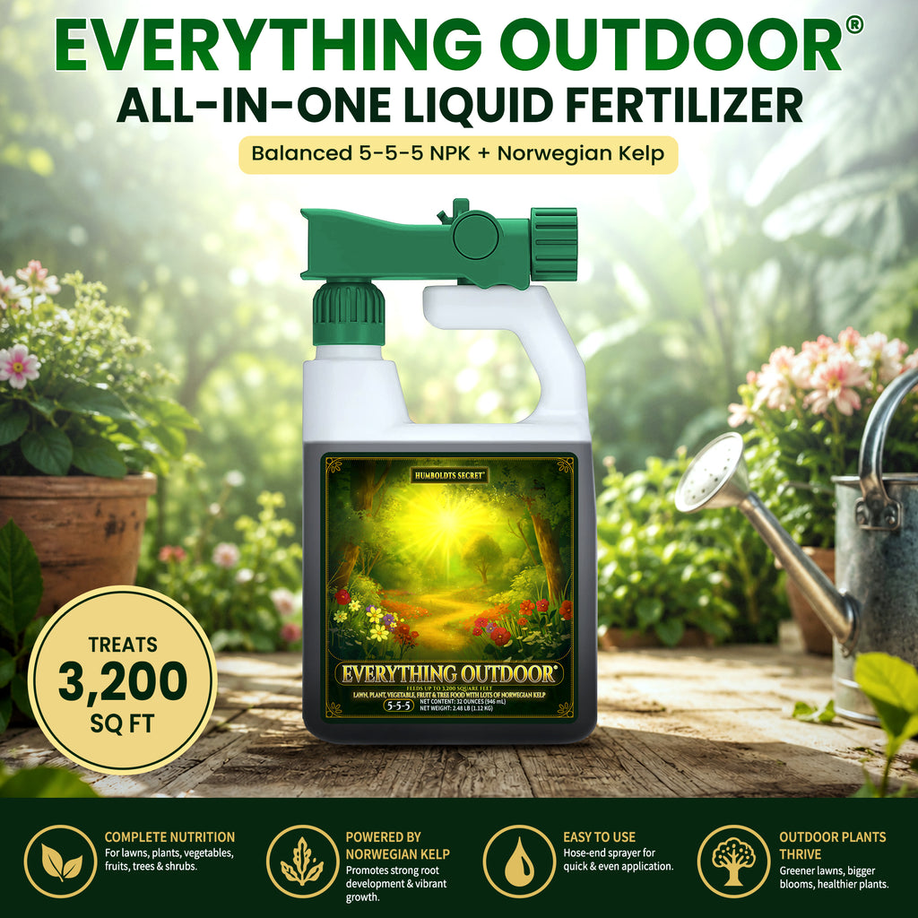 Everything Outdoor