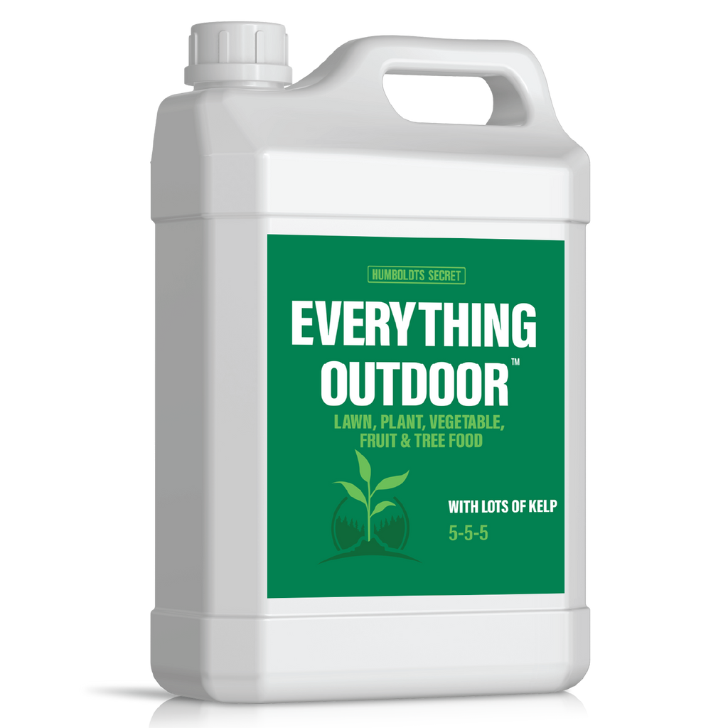 Everything Outdoor