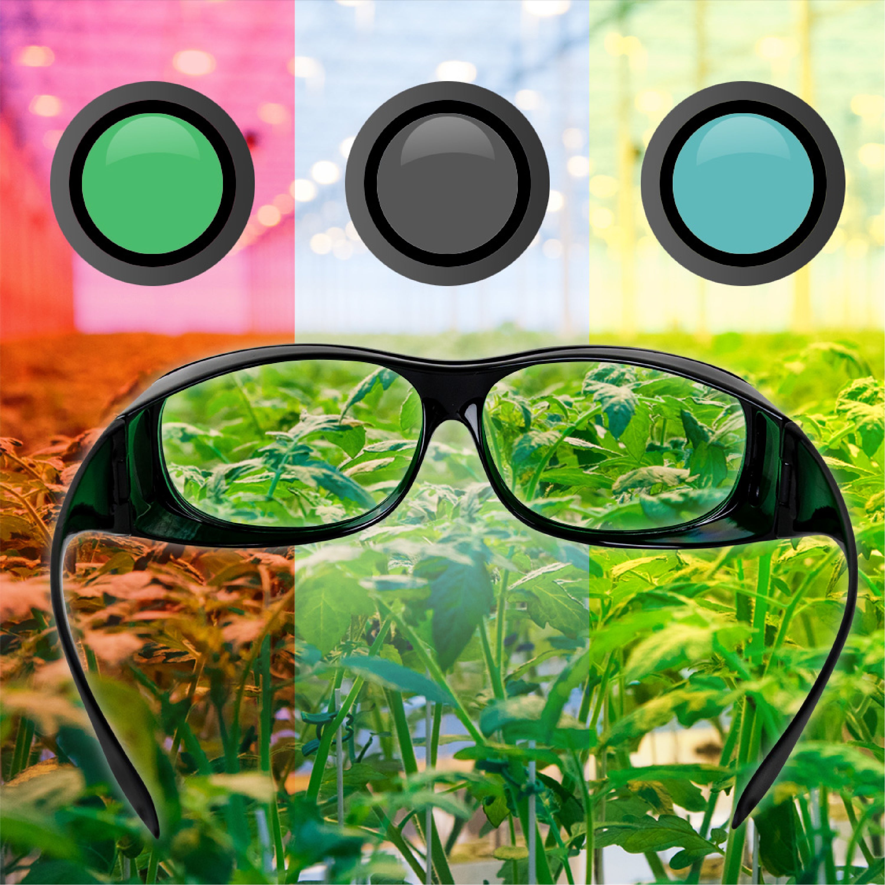 Grow Room Glasses w/ Interchangeable Lenses