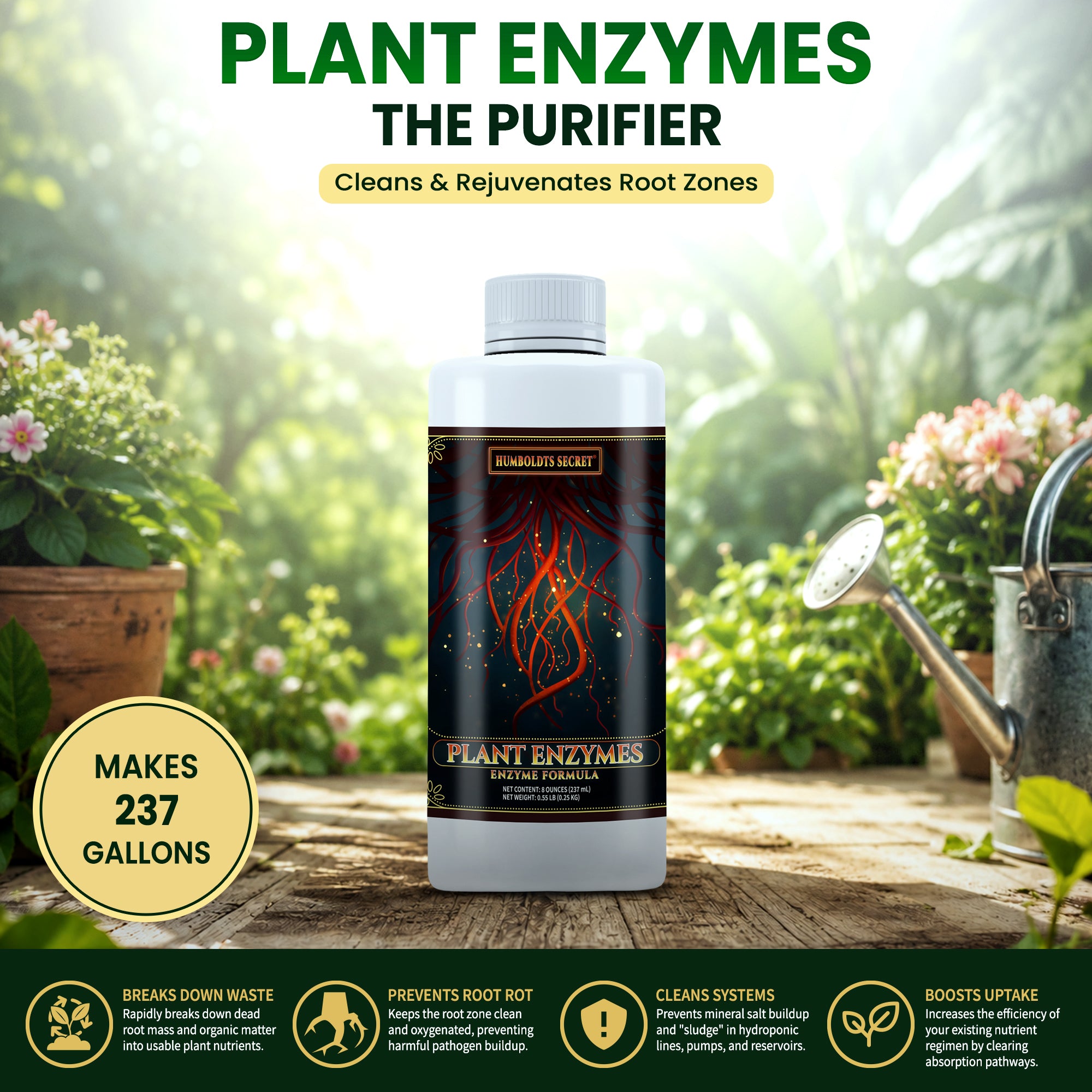 Plant Enzymes