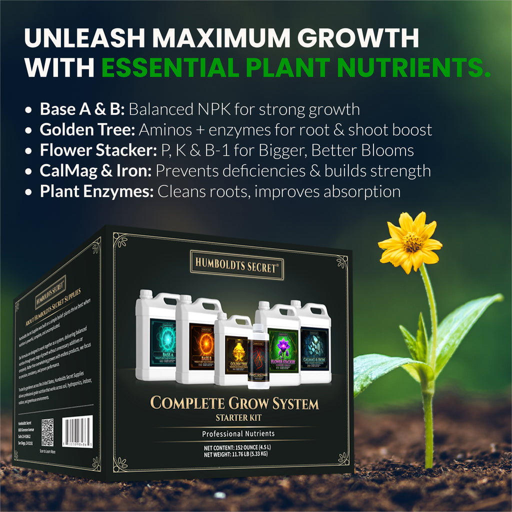 Starter Kit 2 – 8 Bottle Set (216 Ounce Total)