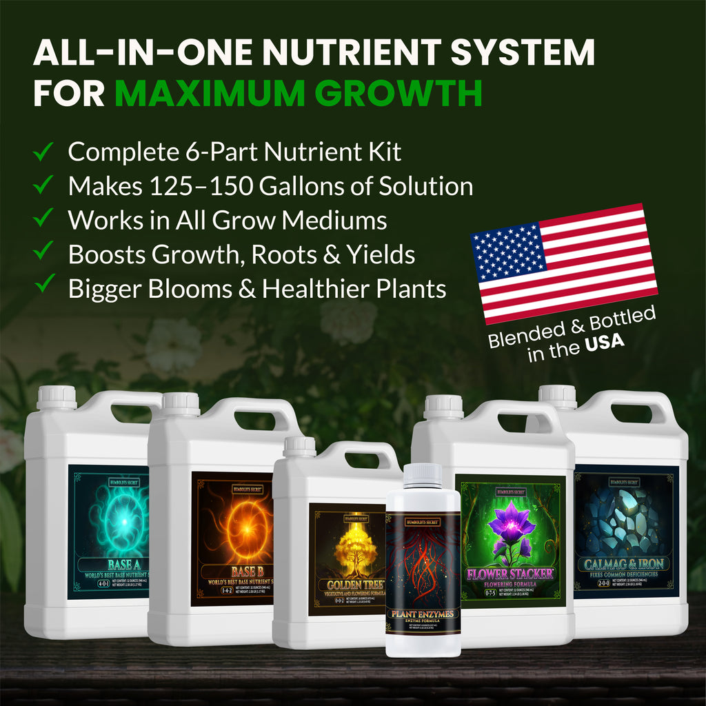 Starter Kit 2 – 8 Bottle Set (216 Ounce Total)