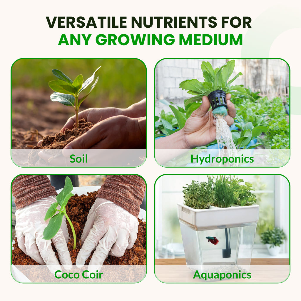 Starter Kit 2 – 8 Bottle Set (216 Ounce Total)