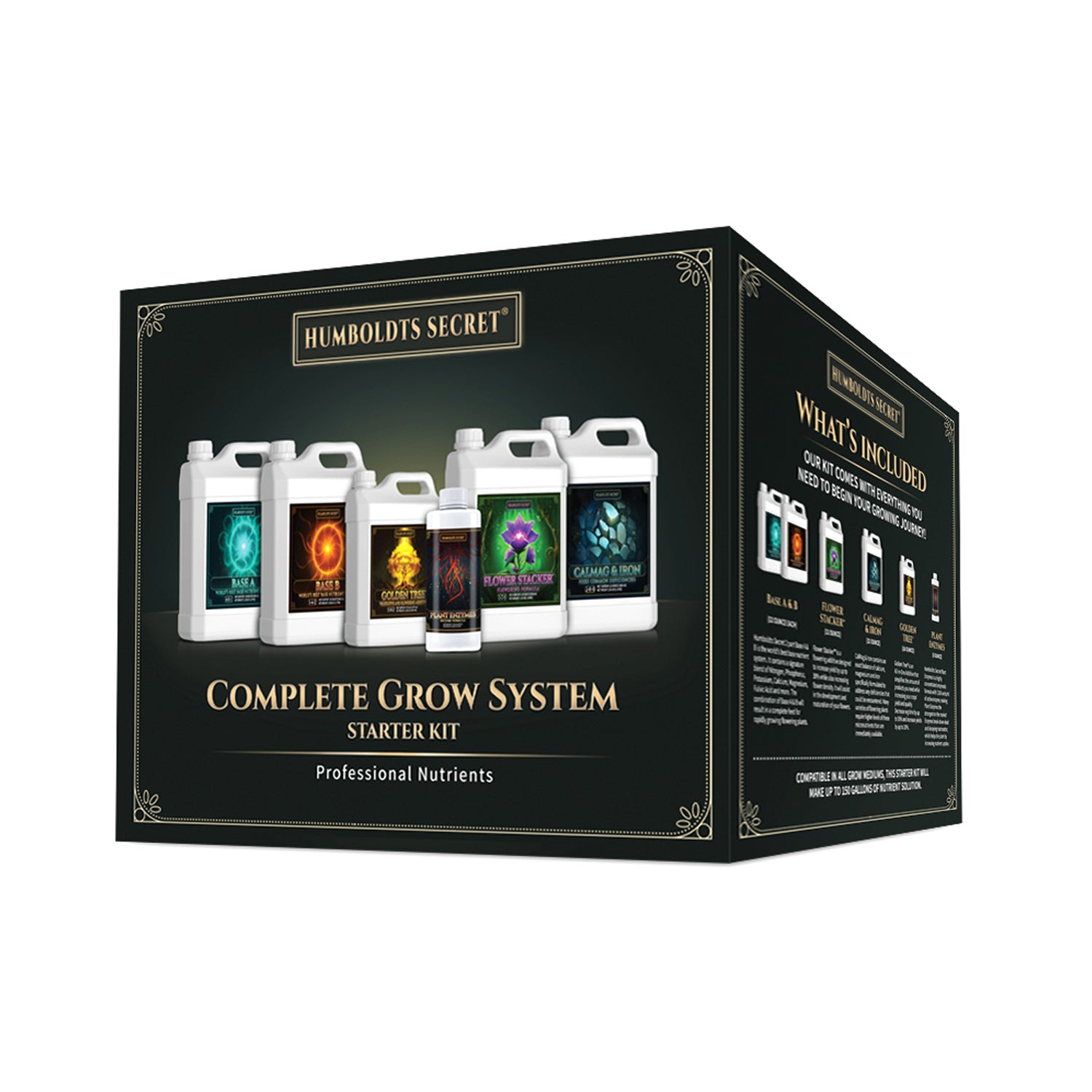 Starter Kit – 6 Bottle Set (152 Ounce Total)