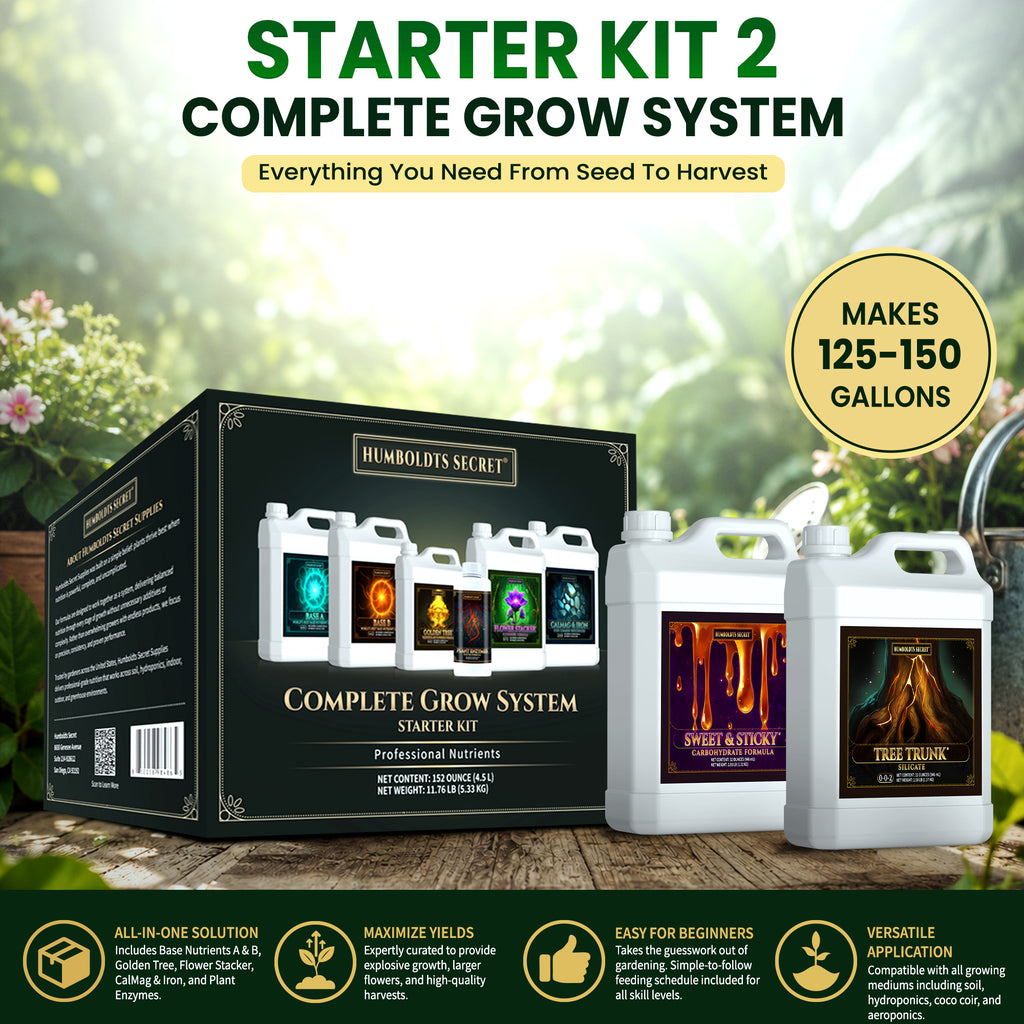 Starter Kit 2 – 8 Bottle Set (216 Ounce Total)