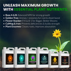 Starter Kit XL – 6 Bottle Set (576 Ounce Total)