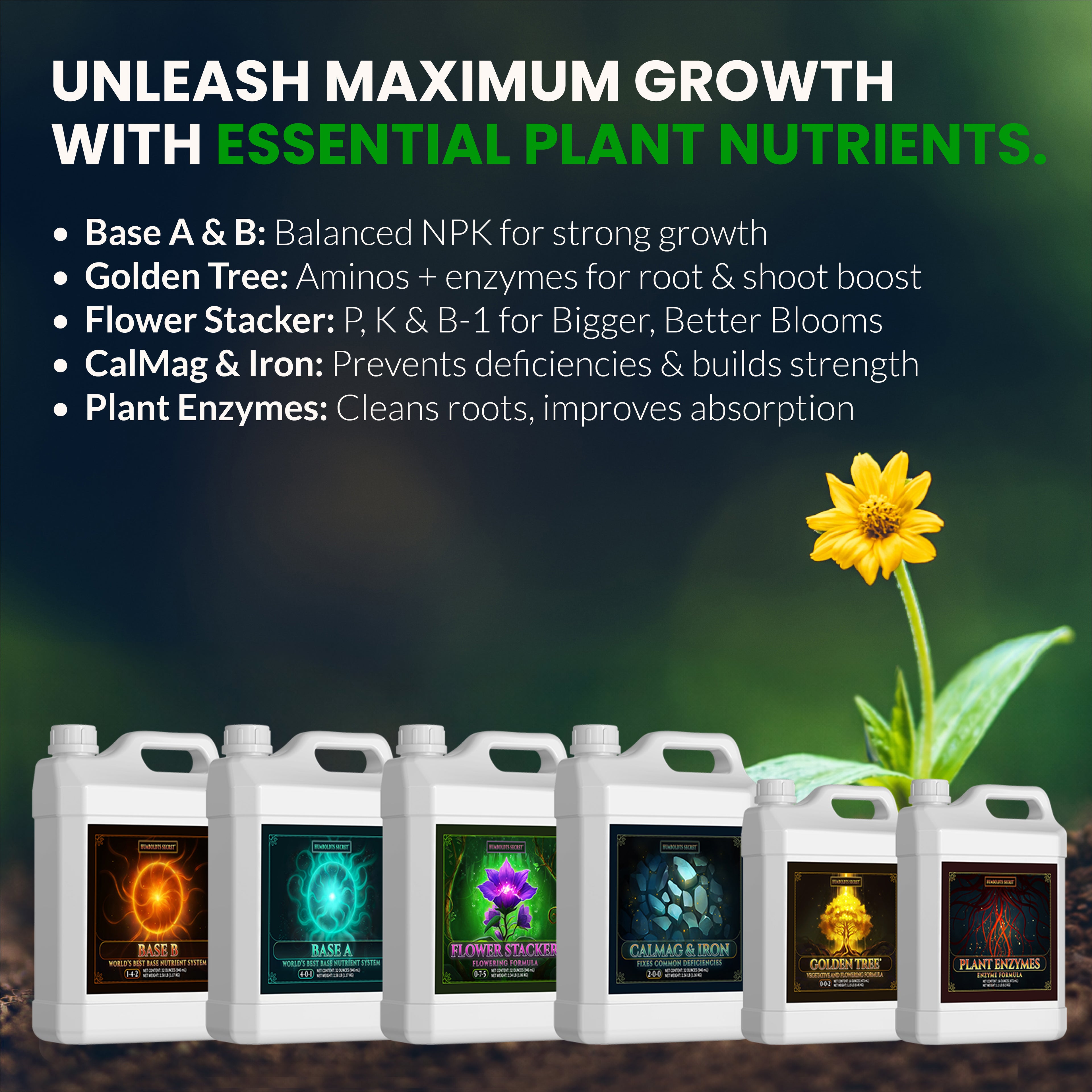 Starter Kit XL – 6 Bottle Set (576 Ounce Total)