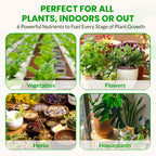 Starter Kit XL – 6 Bottle Set (576 Ounce Total)