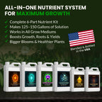 Starter Kit XL – 6 Bottle Set (576 Ounce Total)