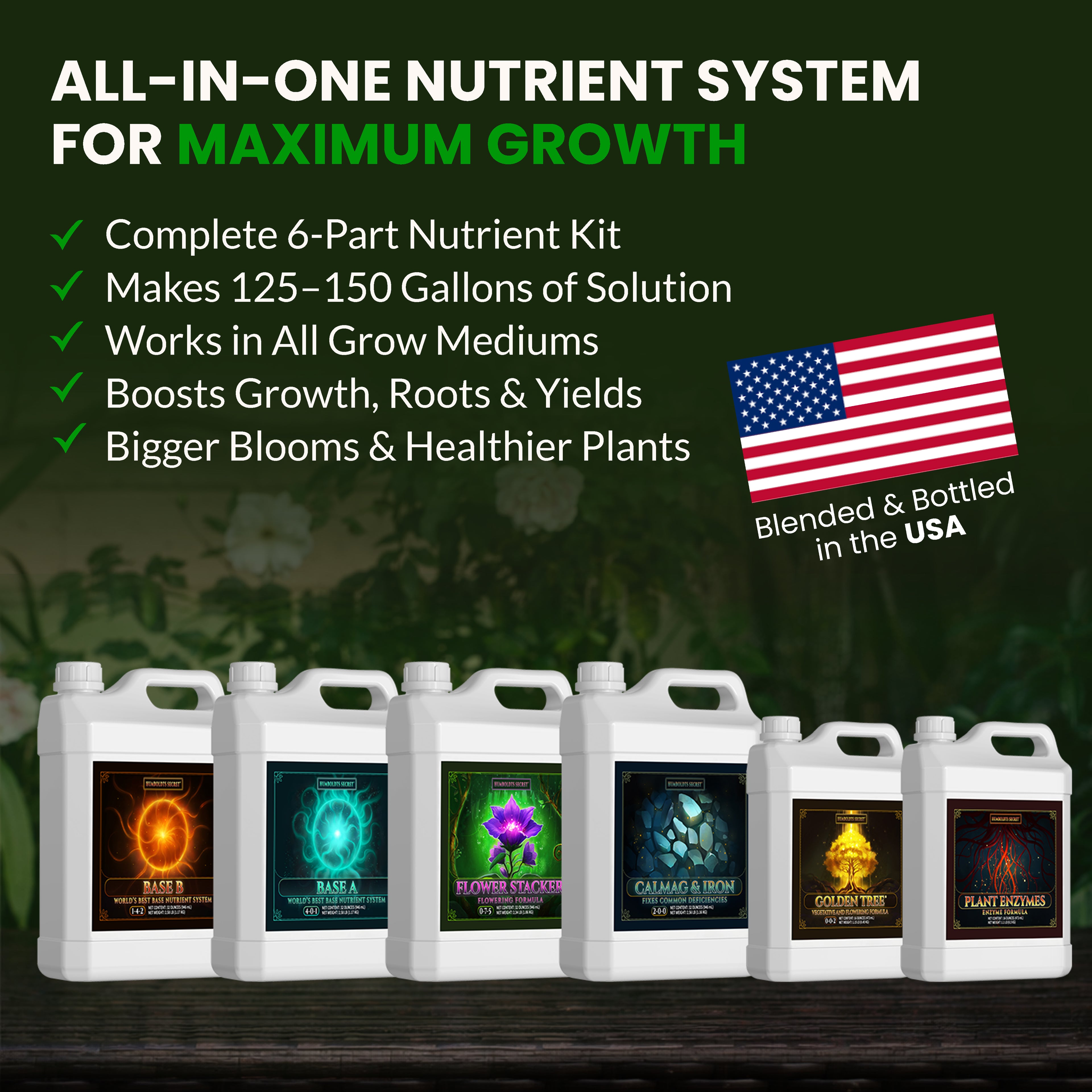 Starter Kit XL – 6 Bottle Set (576 Ounce Total)