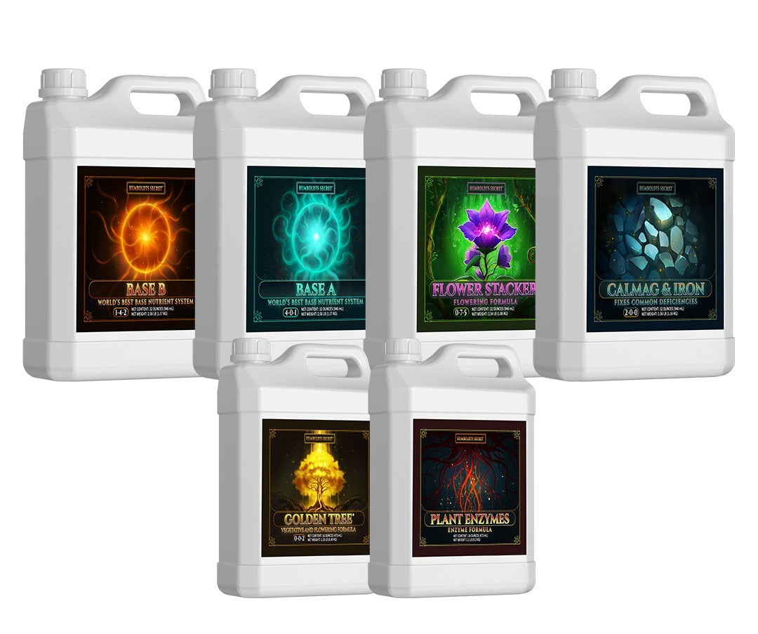 Starter Kit XL – 6 Bottle Set (576 Ounce Total)